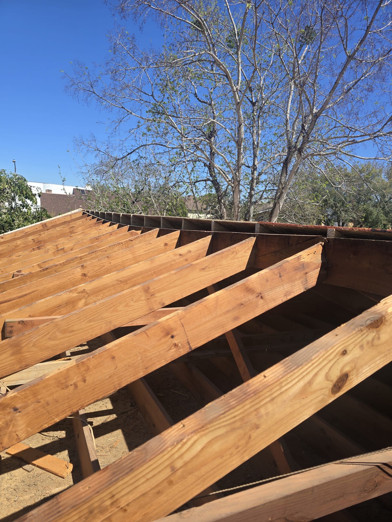 Exposed timber roof rafters seen from below with daylight between the members.
